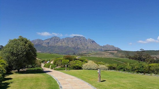 glenelly-s glenelly-s