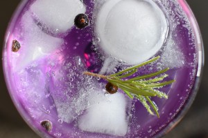 gin-tonic-1859465_1920